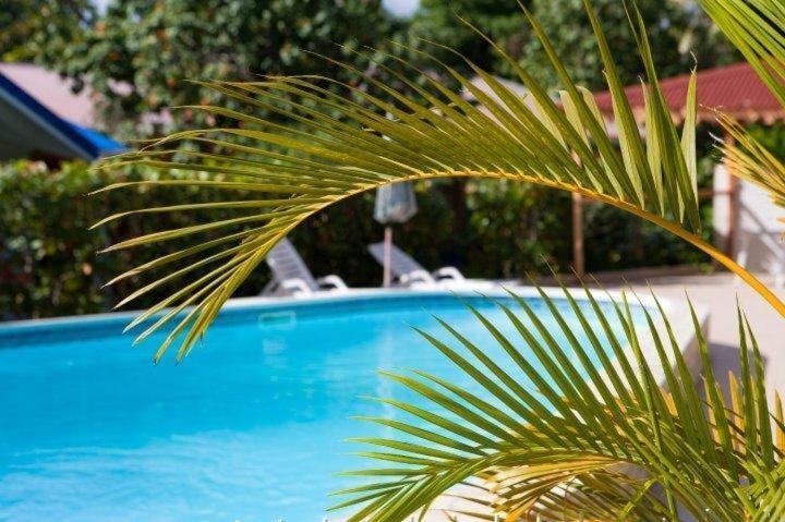 Hotel Le Rotabas サンタンヌ エクステリア 写真