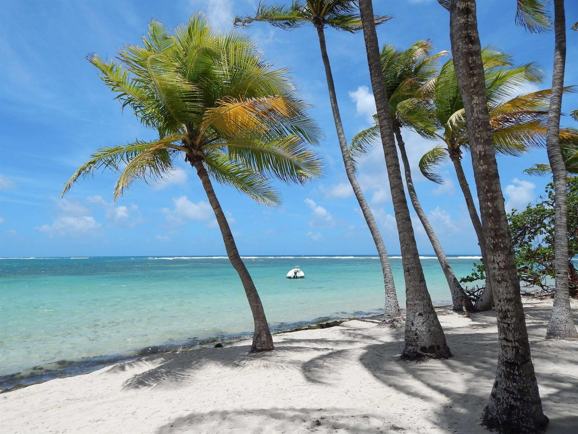 Hotel Le Rotabas サンタンヌ エクステリア 写真